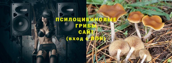 трава Елизово