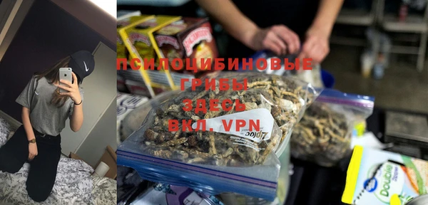 кристаллы Ельня